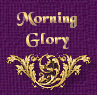 Morning Glory