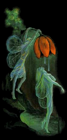 Flower Shower