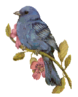 Bluebird