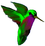 Hummingbird